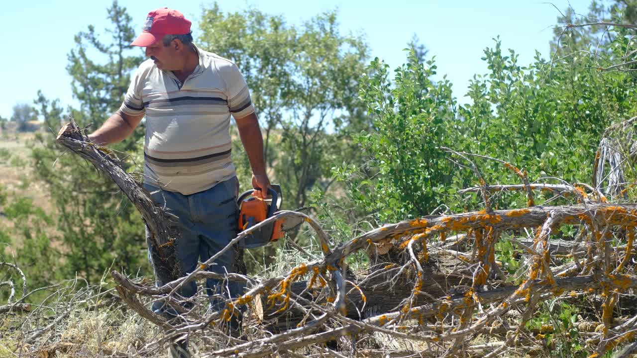 homem velho cortando madeira com serra