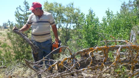 anciano cortando madera con una sierra