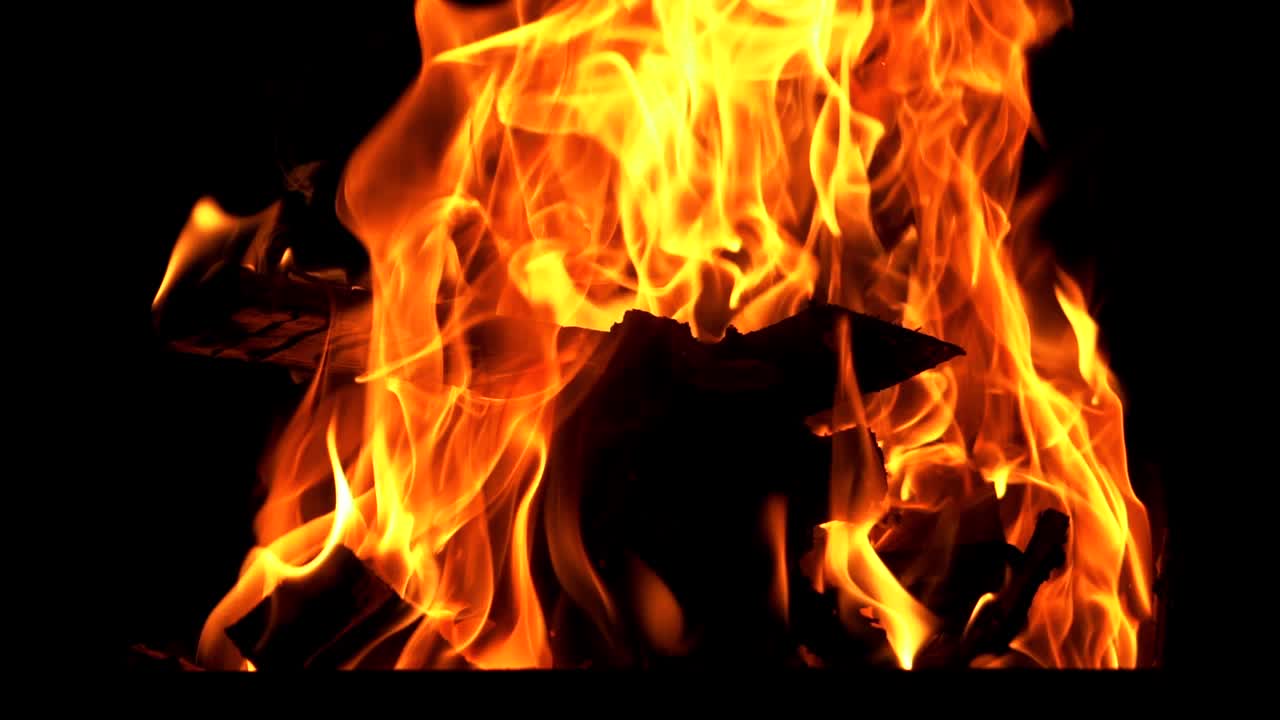 Bonfire. Burning Fire in Slow Motion. Woods fire. Slow motion