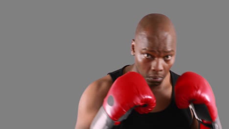 Serious-muscular-boxer-man-practising