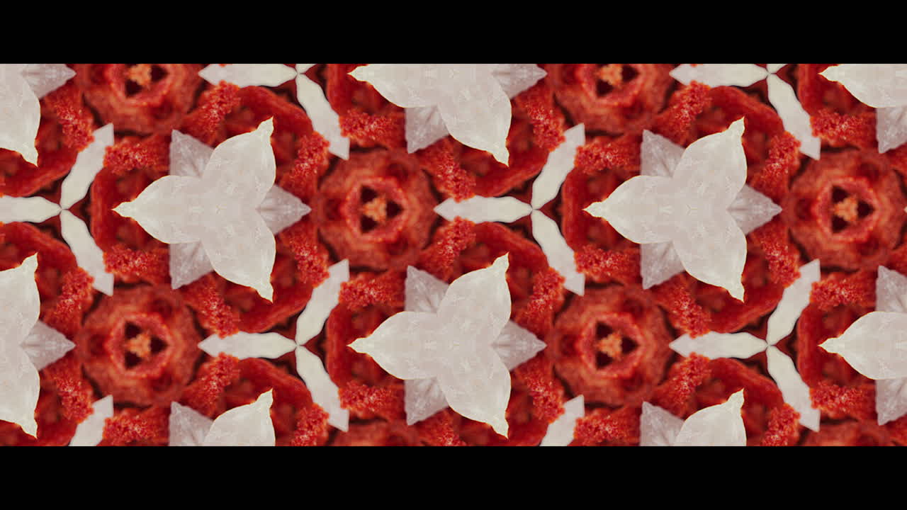 Abstract Pattern of Red and White