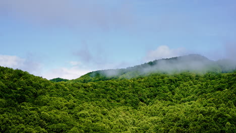cinematic drift into mist swirling on smoky ridges