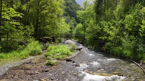 paisaje tranquilo y relajante del río naturaleza, paisaje forestal en suiza, aérea