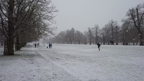 Menschen-Und-Hunde-In-Einem-Starken-Schneefall-In-Einer-Britischen-Parklandschaft