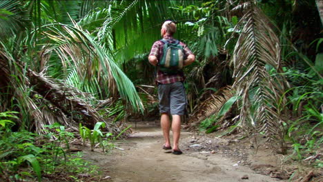 a man hikes on a trail into a tropical forest