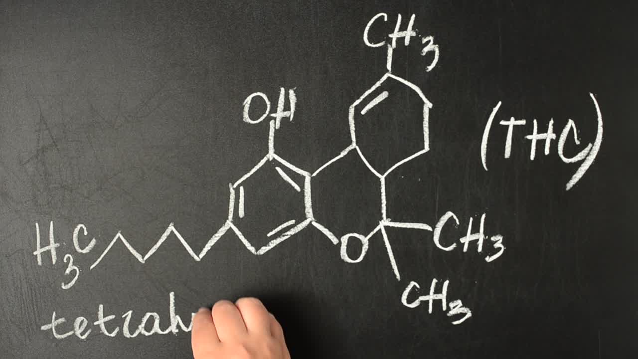 Tetrahidrocannabinol y su fórmula química dibujada. Modelo estructural de la molécula de THC en la pizarra