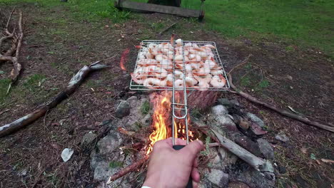 25 fps pov of a man grilling shrimps on a fire while camping