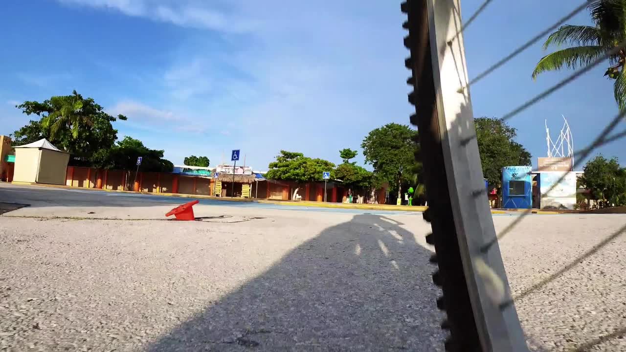 자전거 뒷면 팜 화창한 날 자전거