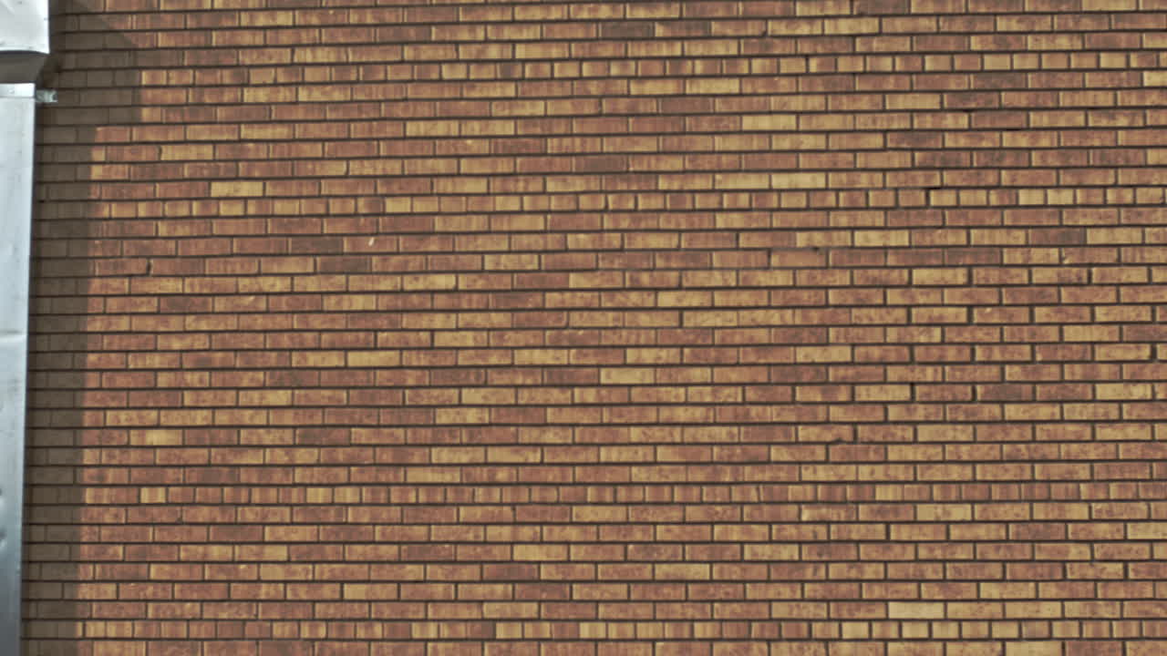 A Visual Journey Through Latin America's Beauty in This Stunning Texas Mural