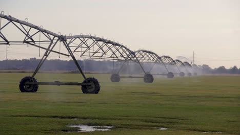 large farming equipment sprinkler watering early morning sunrise on commercial farm