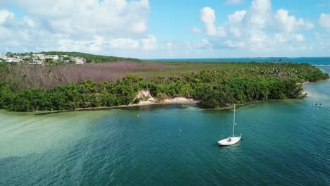 zumbido en las croabas fajardo puerto rico