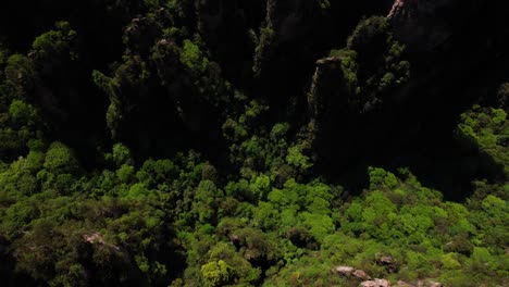 Majestuosos-Pilares-De-La-Torre-Zhanjiajie-Sobre-Un-Bosque-Verde-Y-Fresco-En-El-Valle-De-Yuanjiajie