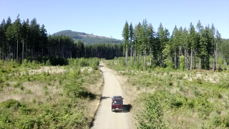 vw van vintage van driving through forest aerial view 4k drone