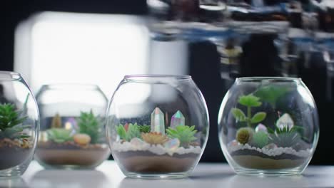 innovative terrarium creation process: automated assembly of lush greenery and crystals in clear glass containers enhances modern home decor