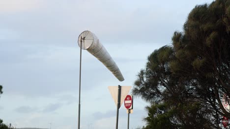 windsock swaying near trees and road signs