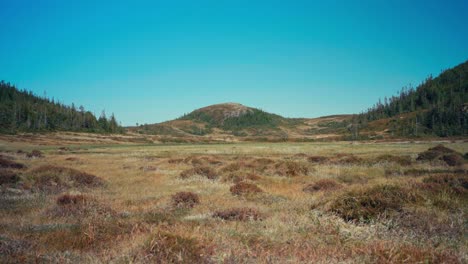 ruta de senderismo de montaña desde seterdjupna hasta malitjønna en indre fosen, trøndelag, noruega