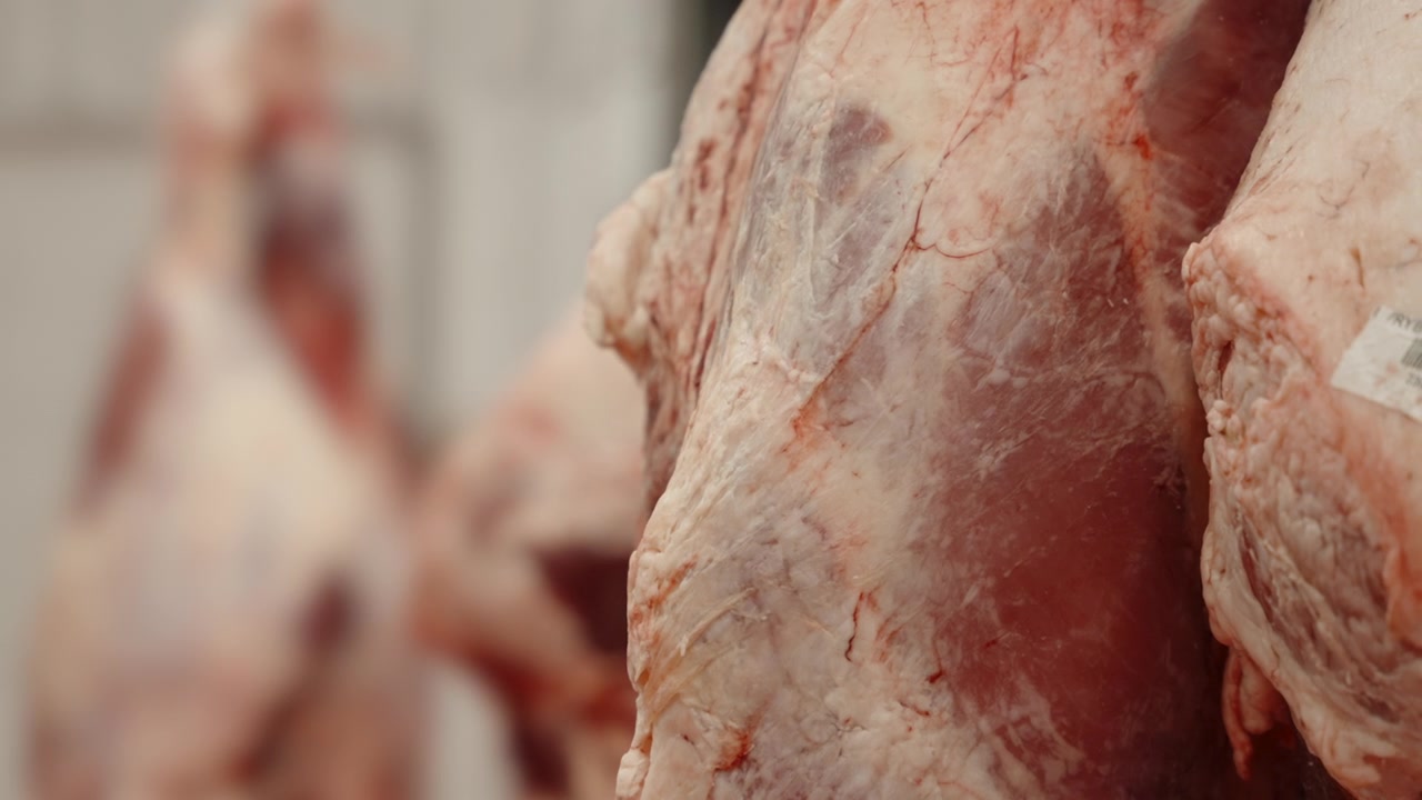 Large beef side hangs in a cold storage chiller, close-up detail of muscle and fat texture in an industrial meat facility.