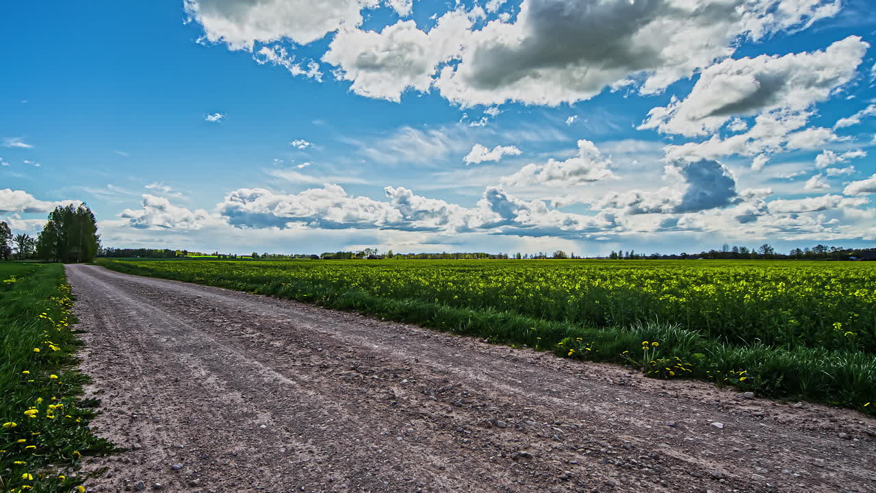 un camino de tierra a lo largo de la colza que crece en un campo de cultivo - alejar el paisaje de nubes de lapso de tiempo deslizante