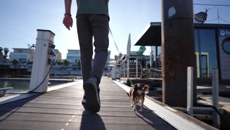 dog walker strolling with canine companion on wooden pier, navigating marina landscape with houseboats and sparkling waterfront under bright sunlight