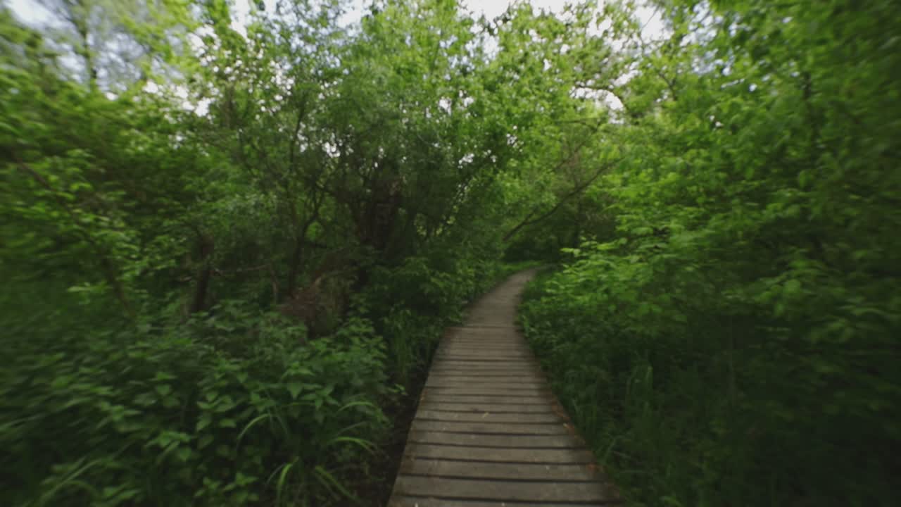 avanzando lentamente en un lugar de sendero natural abandonado y su entorno