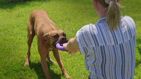 woman playing with her dog in the park