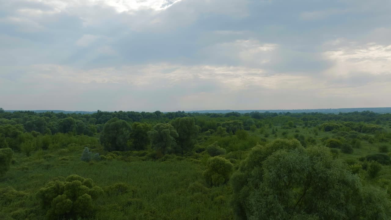 vista aérea de un paisaje de bosque verde