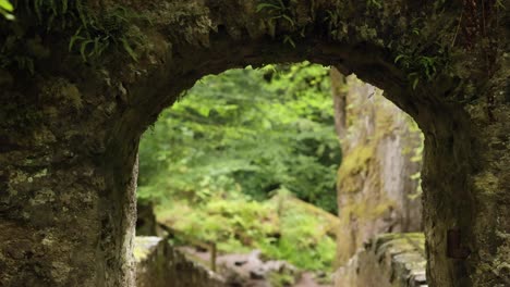 stone archway leading to lush forest scenery