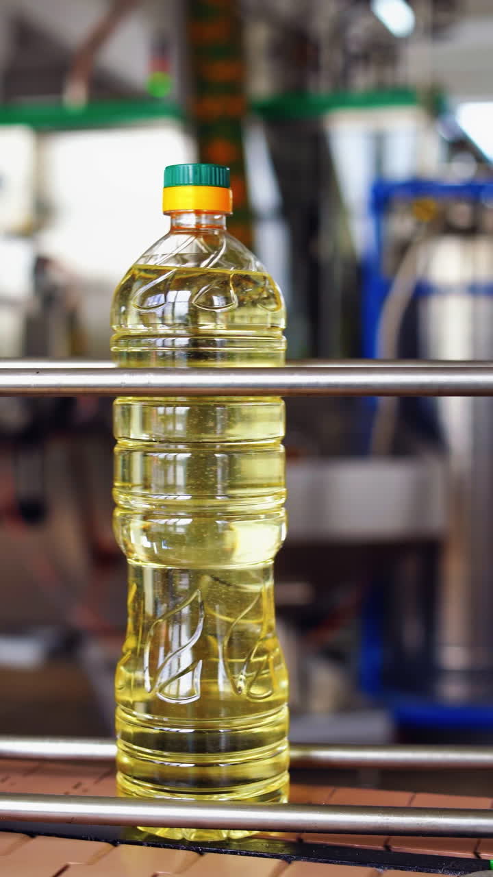 Sunflower oil in bottles. Sunflower oil in the bottle moving on production line. Vertical video