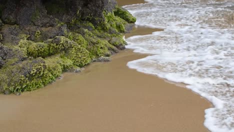 Agua-Que-Fluye-Tocando-Las-Piedras-Llenas-De-Algas-Verdes--Sintaxis