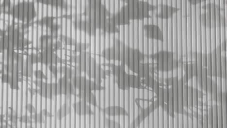 shadow of tree branches and leaves on vertical white corrugated metal wall. abstract natural light and linear pattern background. design for wallpaper, banner, postcard, greeting card, poster, header.