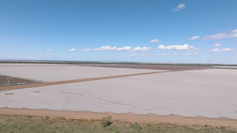 Drone shot of large cotton field near Moree, Australia