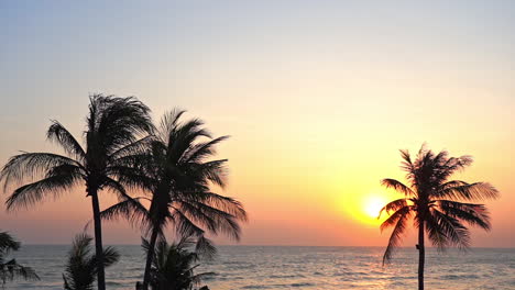 Silueta-De-Palmeras-De-Coco-En-La-Playa-Cuando-El-Sol-Dorado-Se-Pone-Sobre-El-Mar,-El-Amanecer-Sobre-El-Mar