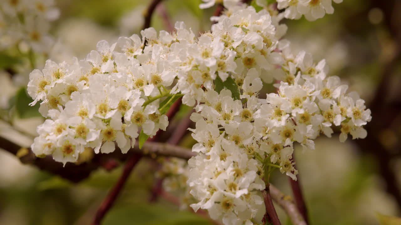 el parque rural de waters' edge, humber, estuario, río, casco, hessle, barton upon humber, north lincolnshire, east riding of yorkshire, abril de 2024, lincolnshire, reino unido, fhv24, 4k