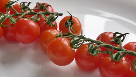 movimiento a lo largo de los tomates rojos frescos cultivados en la rama
