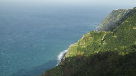 laurisilva forest. this type of forest contain a unique suite of plants and animals, including many endemic species and its confined to the madeira, azores and the canary islands.