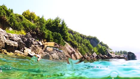 Split-view-cross-section-of-turquoise-sea-water-with-bubbles-and-rocky-Mediterranean-coastline-covered-in-lush-vegetation