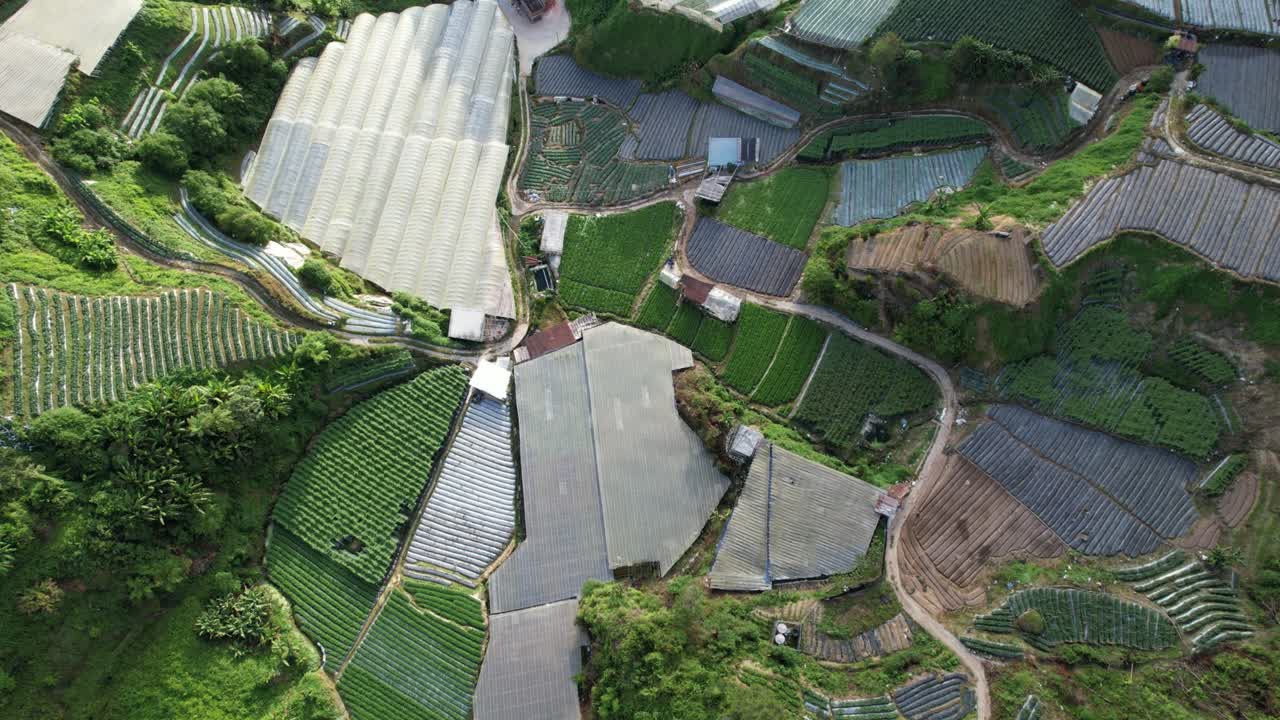 말레이시아의 카메론 하이랜드 지역 내의 브린창 지역의 일반 풍경