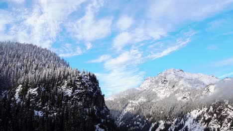 Panning-drone-shot-of-snow-covered-mountains-with-dense-evergreen-forests