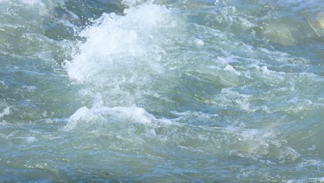 vibrant, swirling water captured in glenorchy stream, showcasing natural movement and energy in a serene outdoor setting