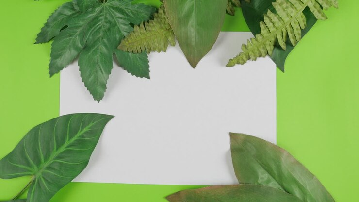 In summer. Floral summer background. Green Leaves on white paper for text. 4K