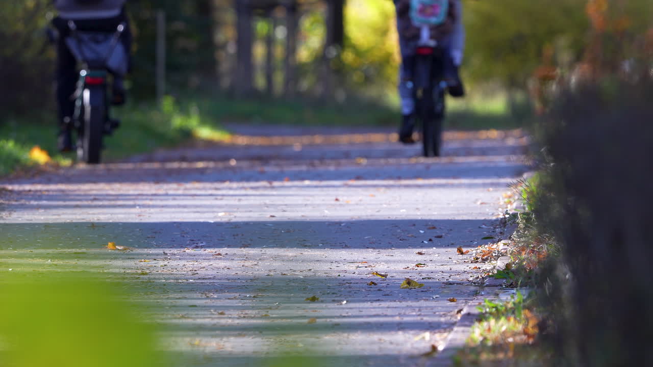 Cyclists approaching on a quiet forest path covered in autumn leaves