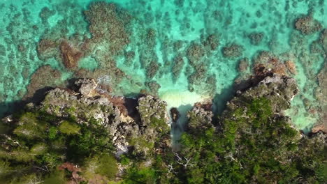 vertical bird's eye view of desert road along rugged shoreline, crystal water in loyalty islands, new caledonia