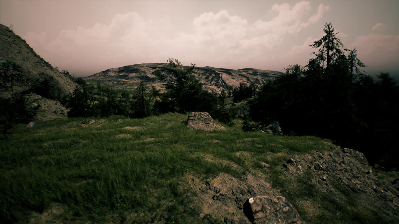 vista panorámica de la montaña con hierba verde y árboles
