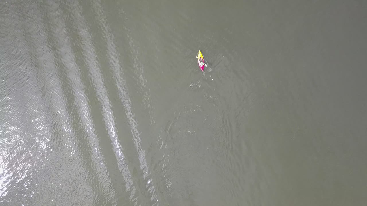 un solo conductor de kayak está remando en las aguas de sydney