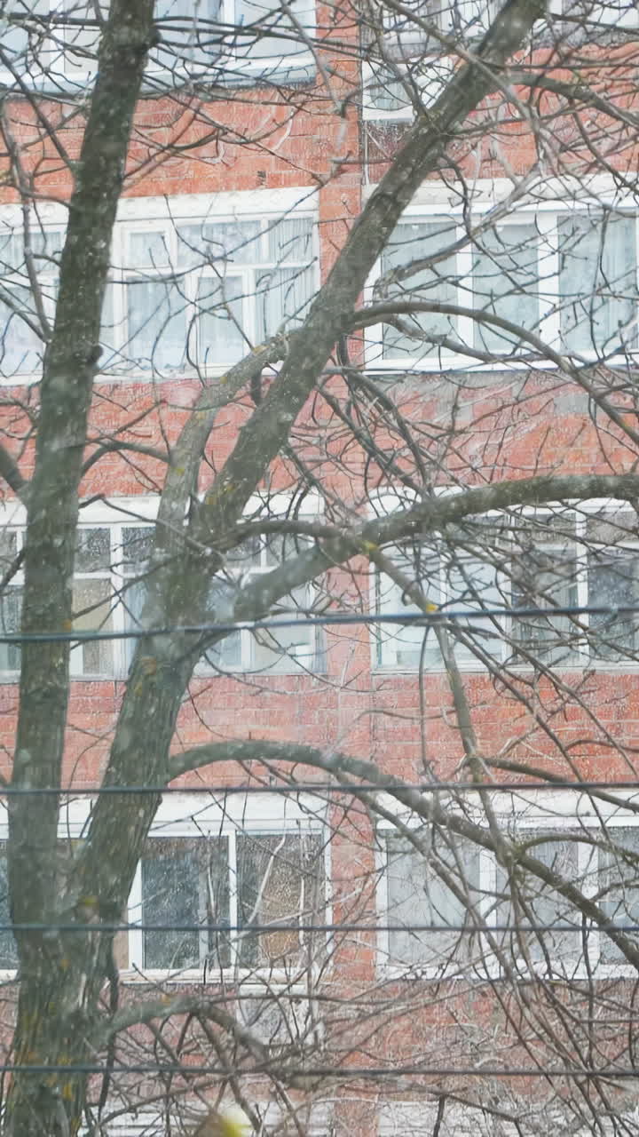 Giornata di neve in città