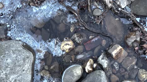 frozen close up of rocks and frozen stream