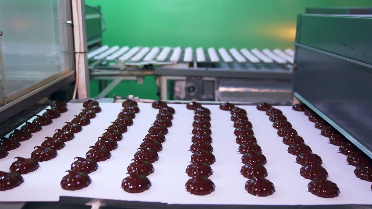 Marshmallow candies freshly covered with shiny chocolate. Conveyor belt transporting sweet desserts at modern confectionery factory.
