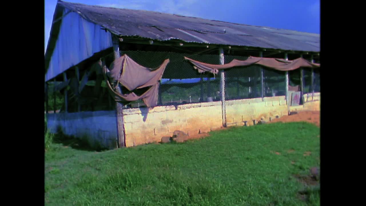 1980년대 쿠바 시골 풍경 4