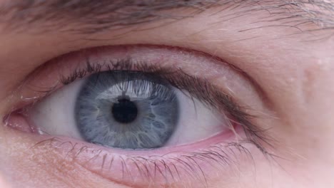 Human-Blue-Eye-Opening---Dilating-and-Staring-Into-Camera,-Extreme-Close-up