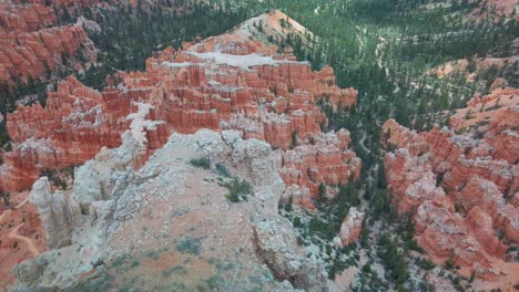 tilting up shot from a desert bush to bryce amphitheater at bryce canyon national park, utah